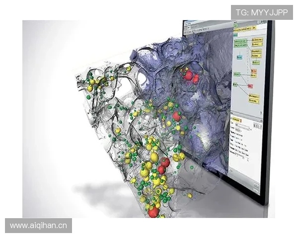 凯发k8国际app安全可靠性分析，保障玩家个人信息与资金安全的最佳选择