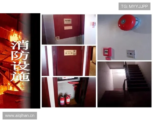 掌握winwin地址登录入口的正确步骤确保账号安全无忧