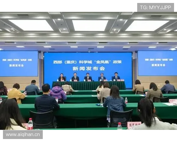 金凤凰平台：引领行业发展的创新金融服务平台